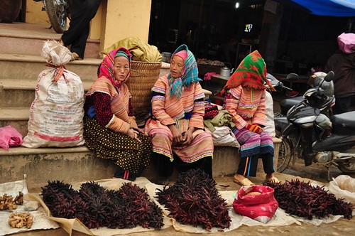 Der Markttag in Bac Ha kurz vor dem Tetfest - ảnh 1