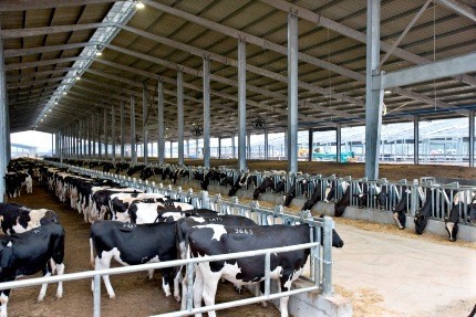 Technologie bei der Landwirtschaftsproduktion verstärkt angewendet - ảnh 1