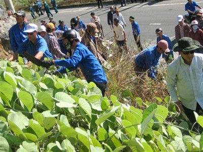 Forum über Gesetze für Jugendliche  - ảnh 1