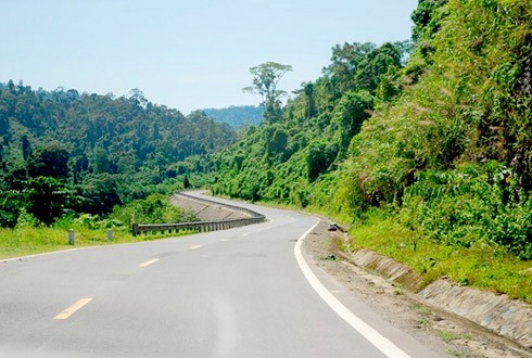 Parlament berät über den Bau der Landstraße Ho Chi Minh und das erneuerte Zollgesetz - ảnh 1