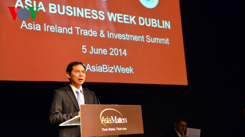 Vizeaußenminister Bui Thanh Son zu Gast in Irland   - ảnh 1