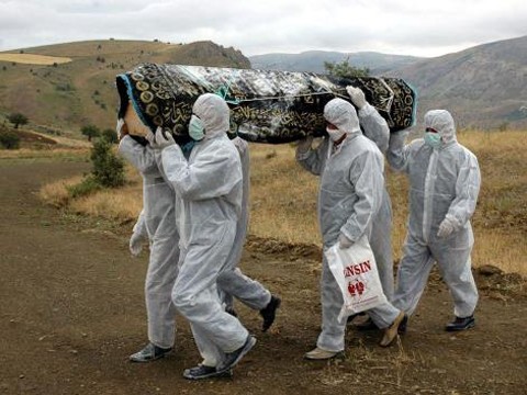 Das Ebola-Virus kostet das Leben von mehr als 1200 Menschen in Afrika - ảnh 1