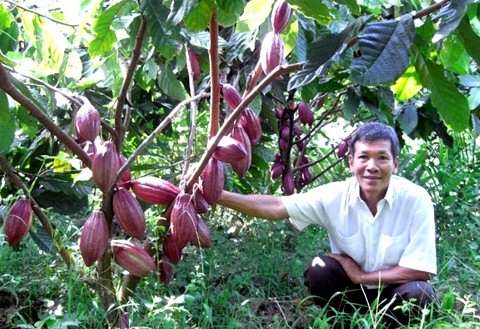 Die Neugestaltung der ländlichen Räume in Ben Tre - ảnh 1