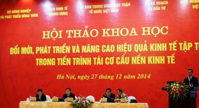 Entwicklung und Verbesserung der Kollektivwirtschaft bei der Umstrukturierung der Wirtschaft - ảnh 1