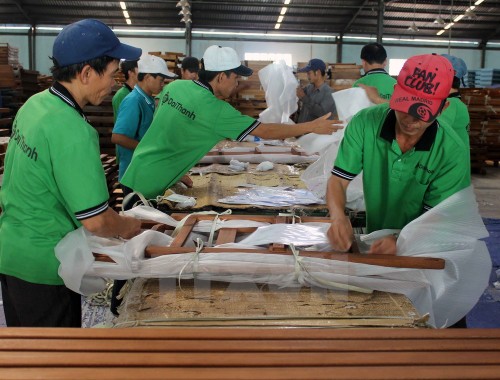 Unternehmen aus Ho-Chi-Minh-Stadt verstärken die Investitionen in Russland - ảnh 1