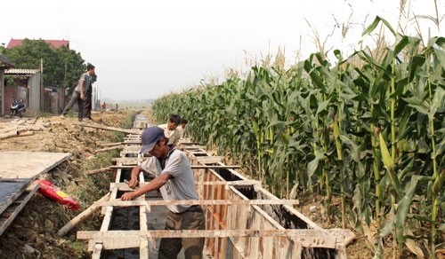 Kreis Hiep Hoa: Neugestaltung der ländlichen Räume mit der Einwilligung der Bewohner - ảnh 1