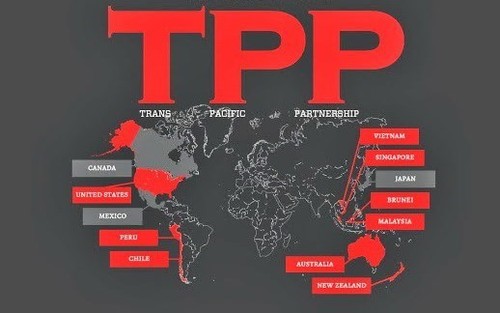 USA startet die Ratifizierung des TPP-Abkommens - ảnh 1