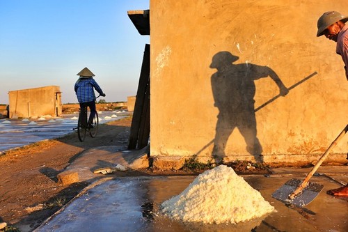 “Fotografenfreunden” stellen “Schönes Vietnam” in Australien vor - ảnh 9