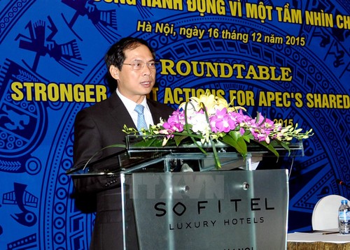 Vietnam bereitet für APEC-Jahr 2017 vor - ảnh 1