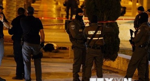 Israel und Frankreich diskutieren über Friedenssitzung für Israel-Palästina-Frage - ảnh 1