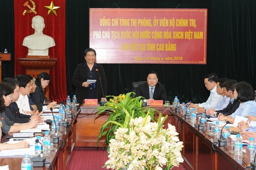 Wahlen werden garantiert ernsthaft und entsprechend den Regeln stattfinden - ảnh 1