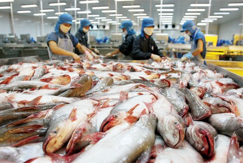 Aufhebung der Kontrolle für vietnamesischen Pangasius ist eine richtige Entscheidung der USA - ảnh 1