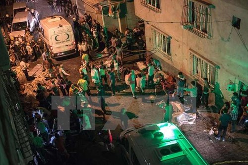 USA und Deutschland verurteilen den Angriff auf Hochzeit in der Türkei - ảnh 1