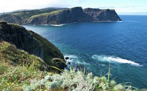 Japan erwägt Bedingungen, damit Russland die umstrittenen Inseln zurückgeben wird - ảnh 1