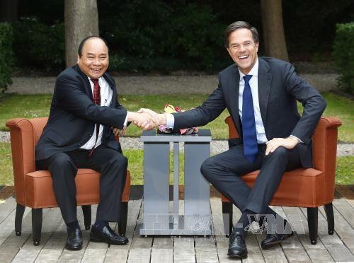 Premierminister Nguyen Xuan Phuc führt Gespräch mit dem niederländischen Premierminister Mark Rutte  - ảnh 1
