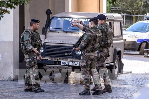 Frankreich nimmt einen mutmaßlichen Attentäter des Autoanschlags fest - ảnh 1