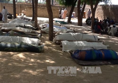 Viele Länder unterstützen die Anti-Terror-Allianz in Westafrika   - ảnh 1