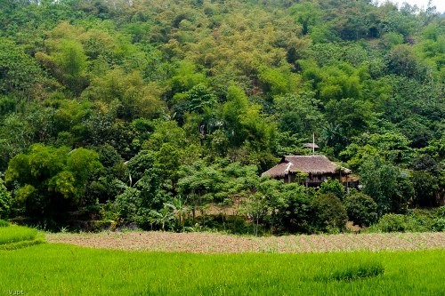 Giang Mo – Ein attraktives Ziel für Touristen - ảnh 1