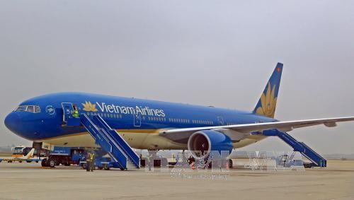Entwicklung von Direktflügen zwischen Vietnamesischen Städten und den Haupt-Handelspartnern - ảnh 1