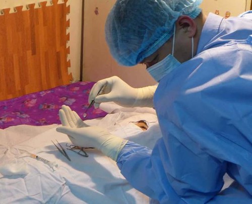 Bewegung zur Spende der Hornhaut in Vietnam - ảnh 1