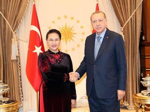 Parlamentspräsidentin Nguyen Thi Kim Ngan führt Gespräch mit dem türkischen Parlamentspräsidenten - ảnh 1