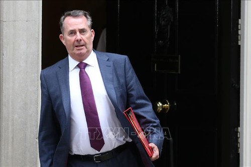 Großbritannien begrüßt das baldige Inkrafttreten von CPTPP - ảnh 1