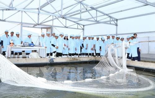 Premierminister Nguyen Xuan Phuc besucht die Zuchtanlage von Pangasius mit Hochtechnologie in An Giang - ảnh 1