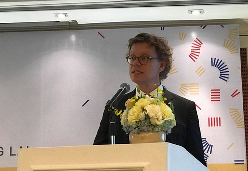 50Jährige Beziehungen zwischen Vietnam und Schweden: Blick auf die Zukunft - ảnh 1