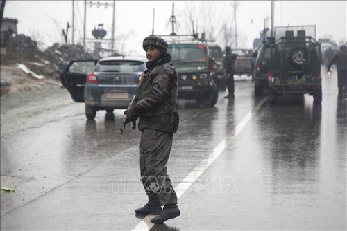 Indien und Pakistan nehmen Handelsaktivitäten wieder auf - ảnh 1