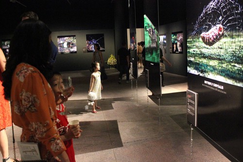 Fotoausstellung „Entdeckung der Insektenvielfalt in Vietnam“ - ảnh 1