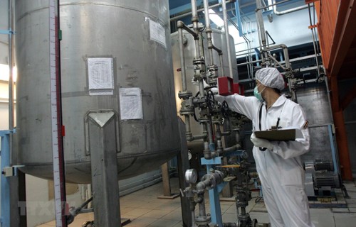 P5+1-Gruppe informiert über Sondersitzung zum Atomabkommen mit dem Iran - ảnh 1