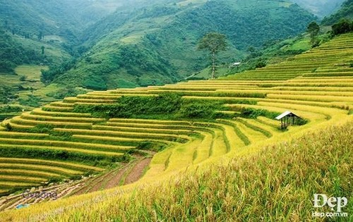 Entdeckung der Reisterrassen Mu Cang Chai und das Kulturfest Muong Lo - ảnh 1