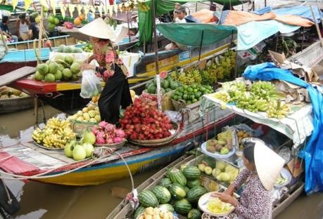 Eröffnung der Bio-Woche im Mekong-Delta - ảnh 1