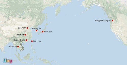Sondersitzung der WHO wegen starker Verbreitung von Lungenentzündung durch den Virus Corona - ảnh 1
