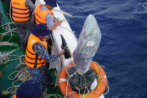 Neujahrsfest Tet für Offiziere und Soldaten des Wachturms DK1 - ảnh 11