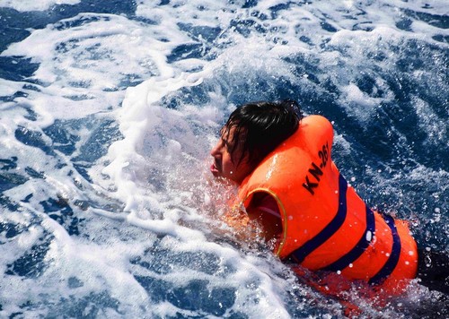 Neujahrsfest Tet für Offiziere und Soldaten des Wachturms DK1 - ảnh 12