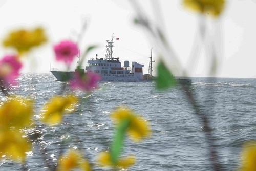 Neujahrsfest Tet für Offiziere und Soldaten des Wachturms DK1 - ảnh 3