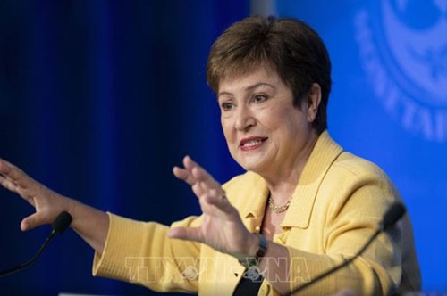 IWF ist bereit, eine Billion US-Dollar zur Unterstützung für 186 Mitgliedsländer zu mobilisieren - ảnh 1