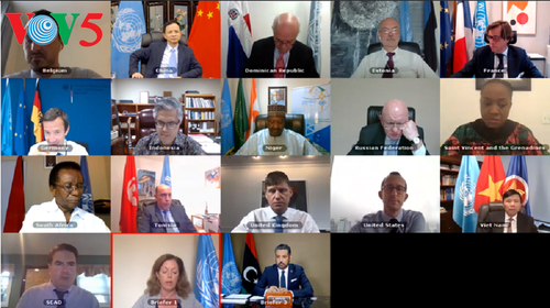 Vietnam appelliert an die Parteien in Libyen, die Friedensgespräche bald wieder aufzunehmen - ảnh 1