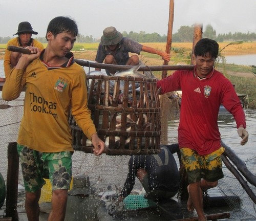Vietnam nutzt das EVFTA gut aus - ảnh 1