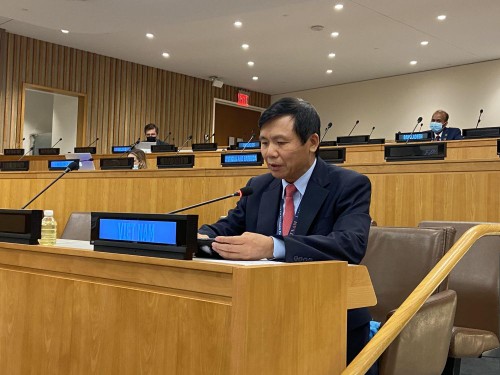 Vietnam wird die Rechtsstaatlichkeit auf nationaler und internationaler Ebene verstärken - ảnh 1