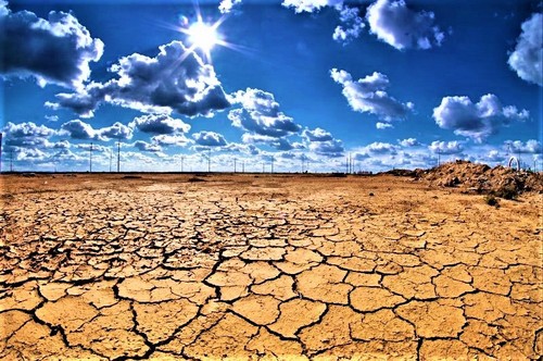 Seminar zur Förderung der nationalen Programme über Klimawandel - ảnh 1