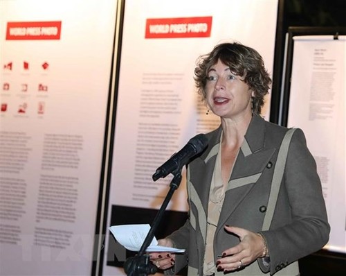 Internationale Delegierte schätzen die Rolle Vietnams als ASEAN-Vorsitzender 2020  - ảnh 1