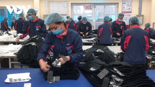 Vietnamesische Unternehmer sollen Chancen der Covid-19-Pandemie wahrnehmen - ảnh 1