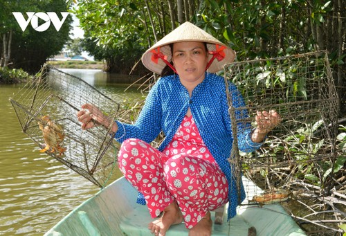 „Fest der Krabben Nam Can” in Provinz Ca Mau wird im September stattfinden - ảnh 1