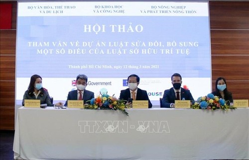 Geistiges Eigentum als Impuls für intellektuelle Wirtschaft und Innovation fördern  - ảnh 1