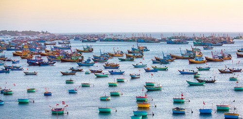 Einzigartiges Vietnam durch die Linse internationaler Fotografen - ảnh 10