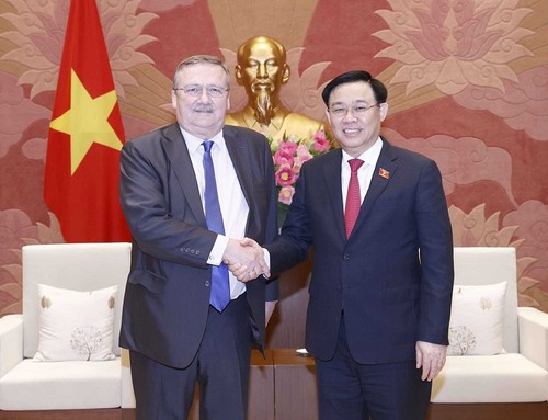 Umfassende Partnerschaft zwischen Vietnam und Ungarn verstärken - ảnh 1