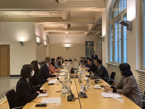 Zusammenarbeit zwischen Parlamenten Vietnams und Deutschlands verstärken - ảnh 1