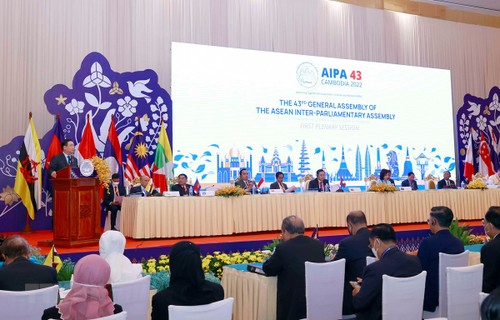 Förderung parlamentarischer Diplomatie im Aufbau und in der Entwicklung des Landes - ảnh 1